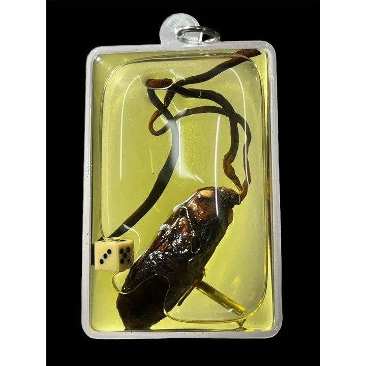 Sacred Cicada Root Charm Amulet for Gambling Success and Business Fortune