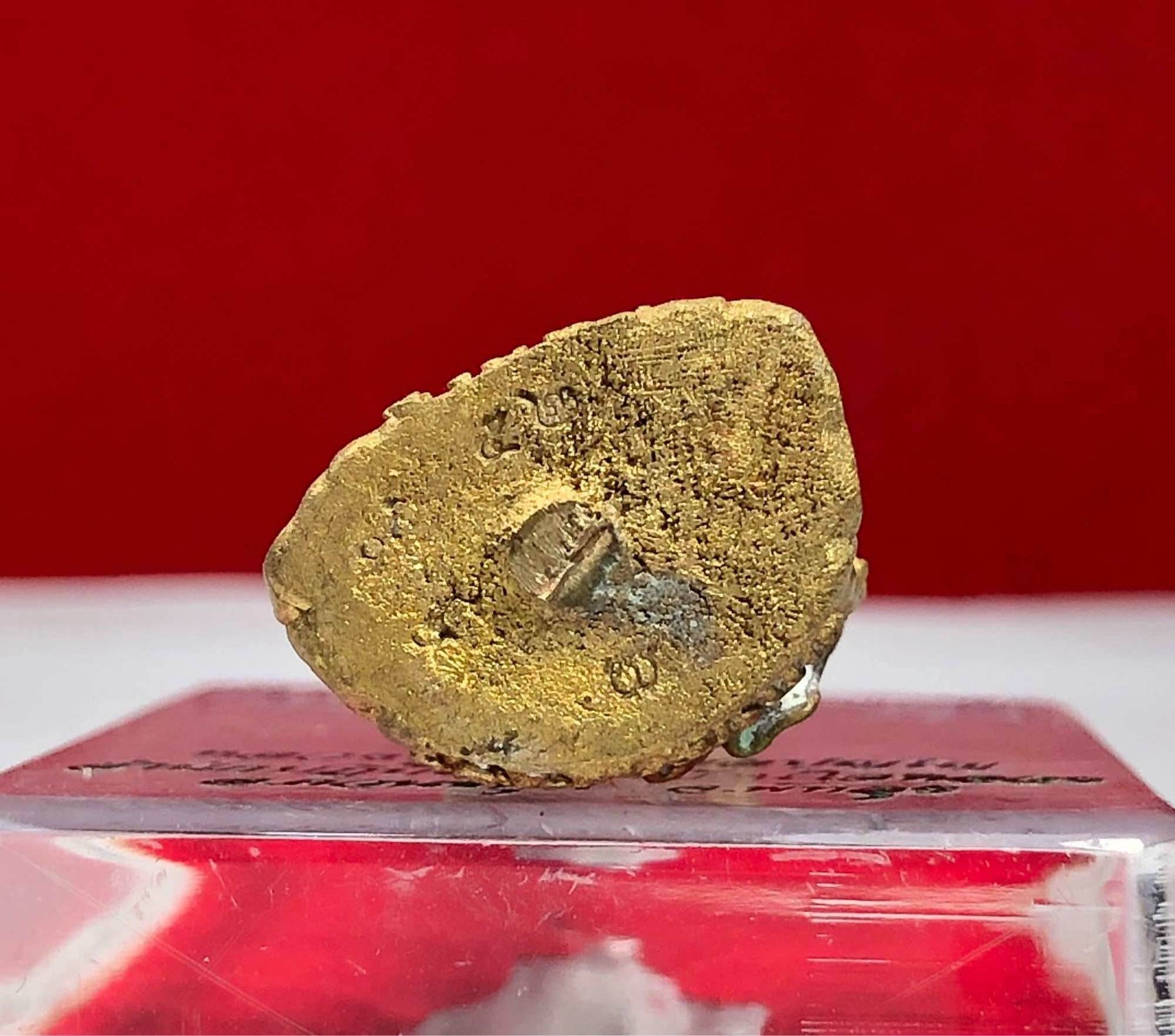 Pu Suea Amulet - 3 cm Blessed by Luang Pu Paew, Wat Ban Sai Luang for Spiritual Strength and Protection