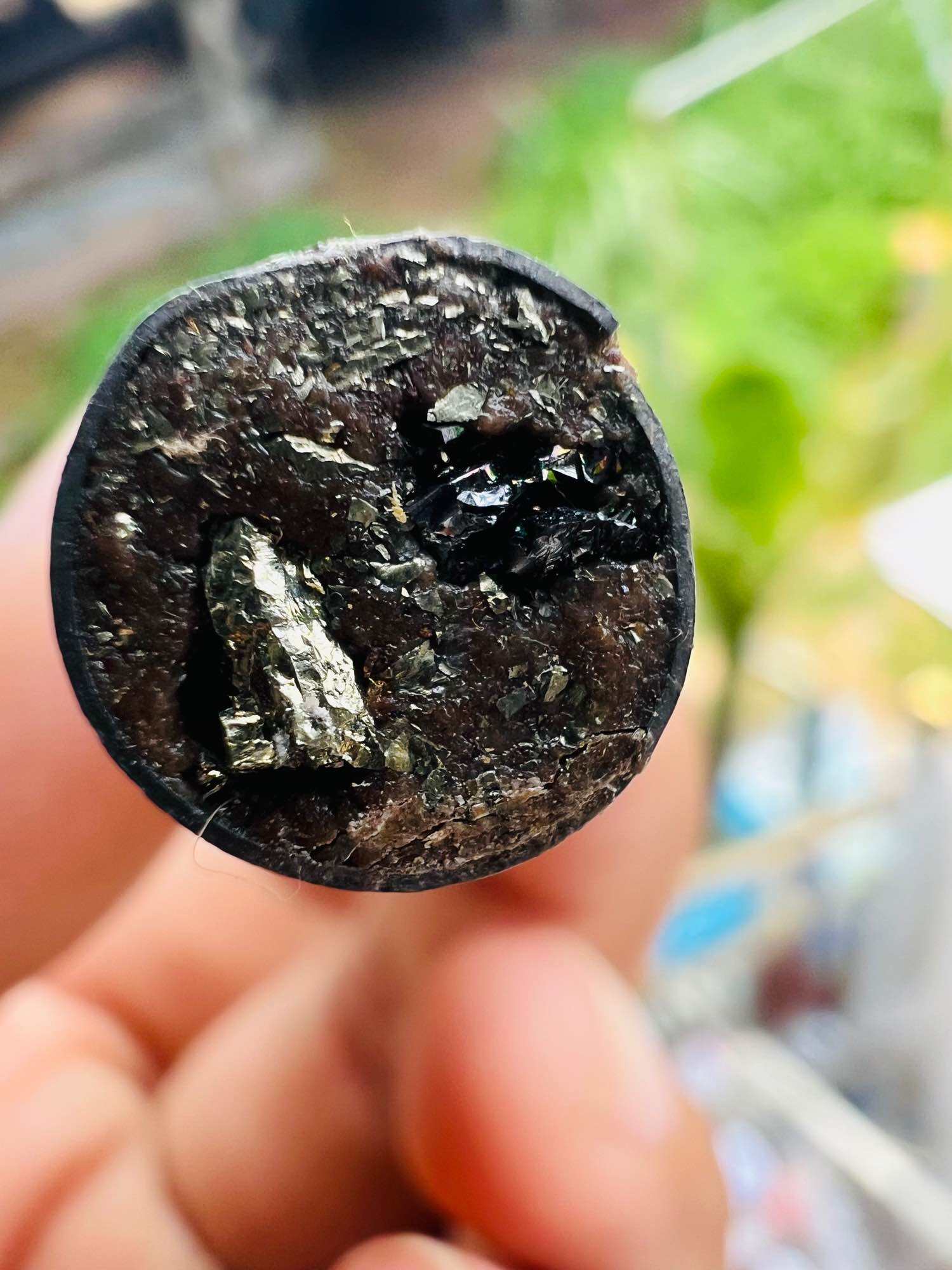 Close up of Takrut Solos Mongkol amulet showing embedded metal fragments held between fingers by Thai Blessing Co