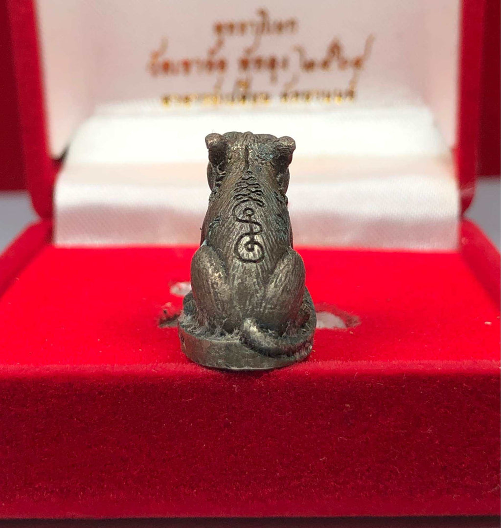 Small detailed Thai tiger amulet for protection sitting on red velvet display box