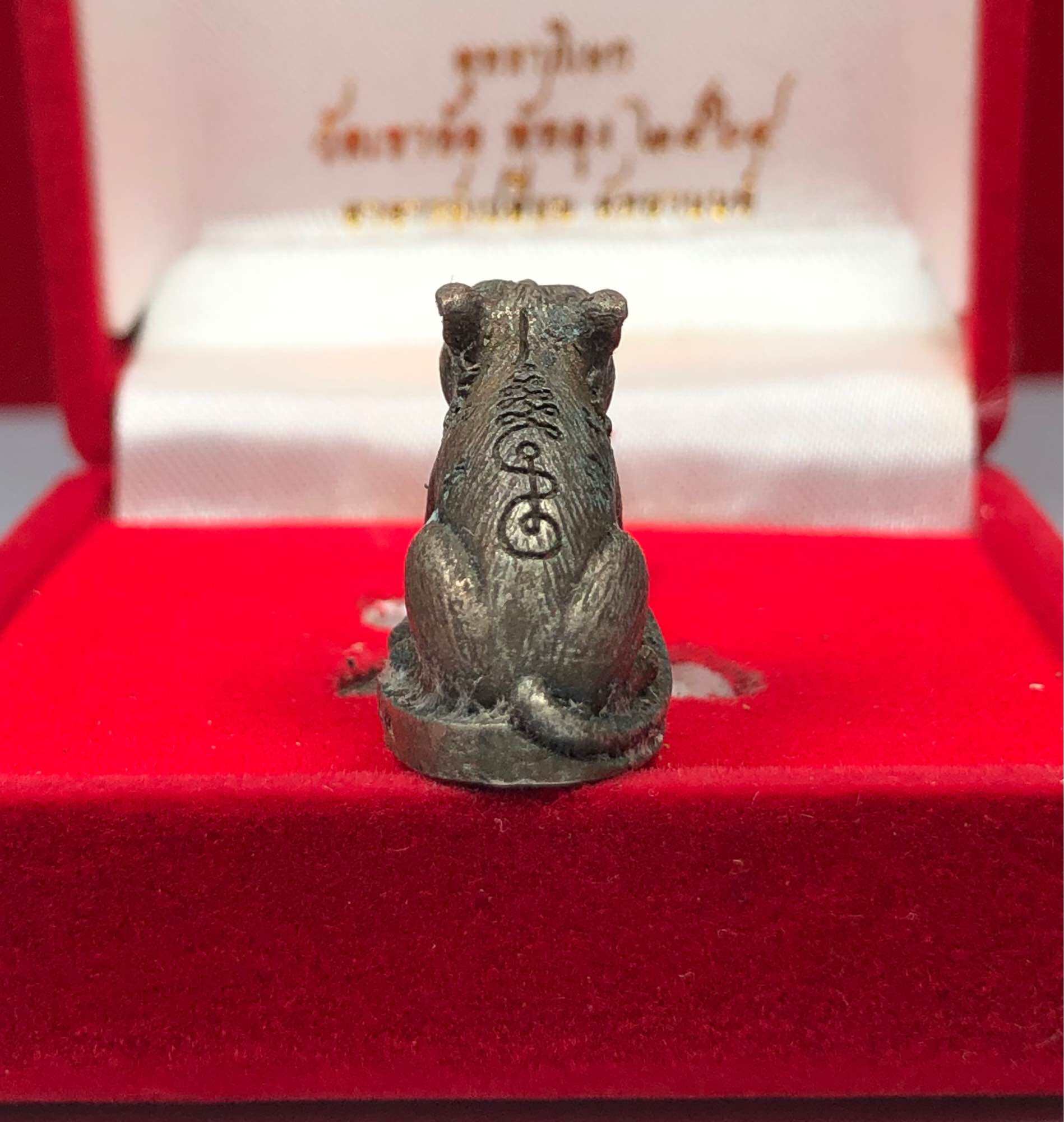 Small detailed Thai tiger amulet for protection sitting on red velvet display box
