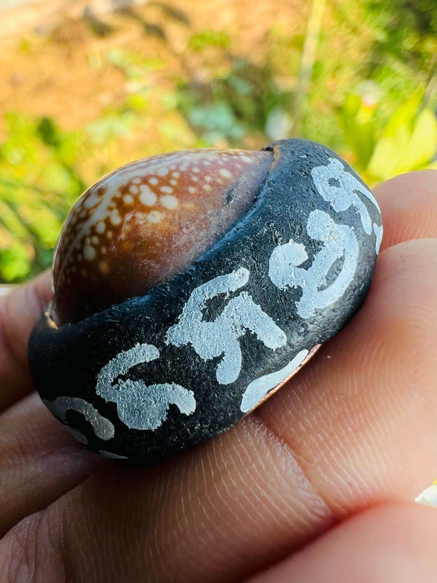 Bia Gae amulet for protection Thai Blessing Co handcrafted shell talisman with painted script ring