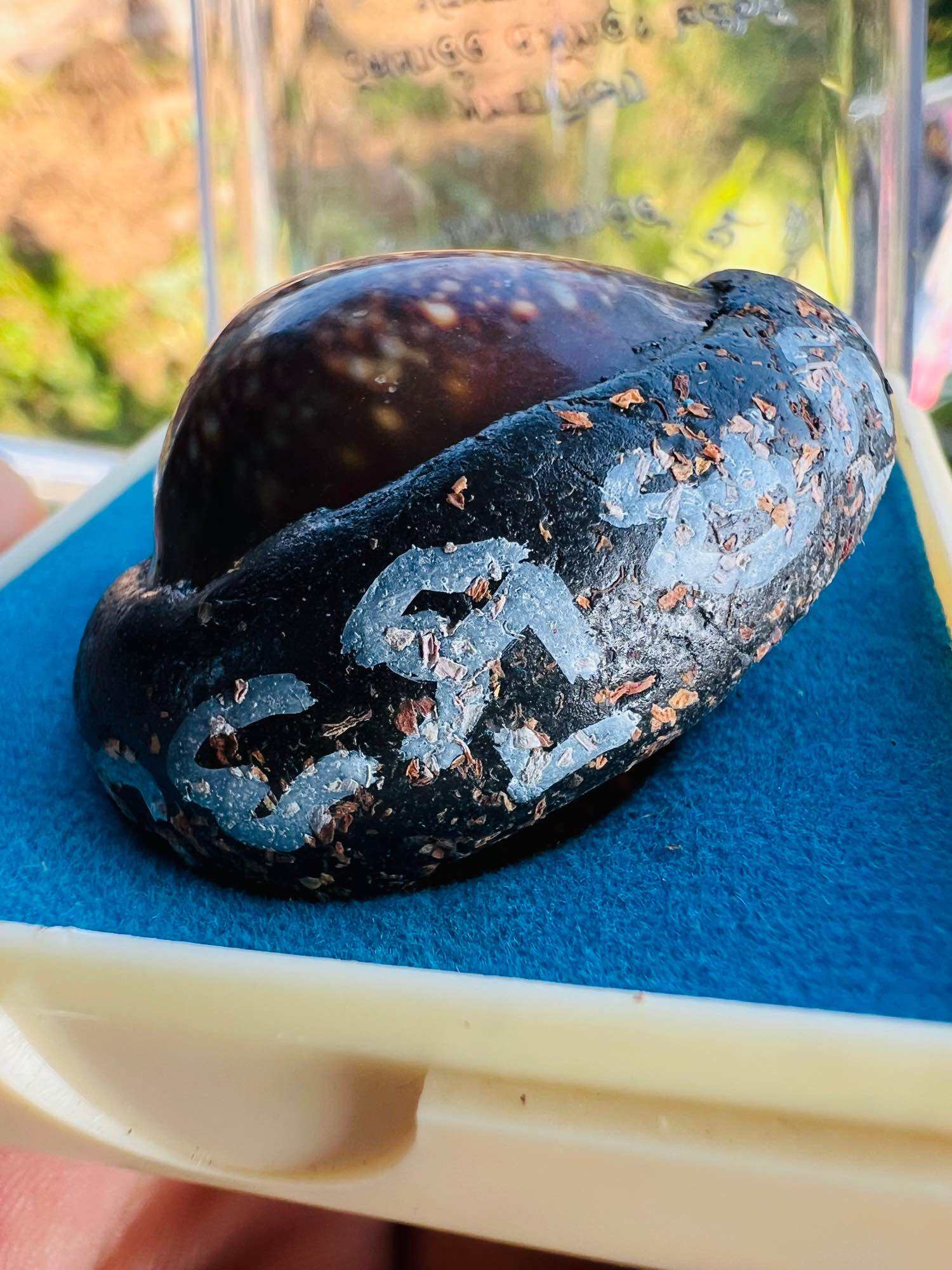 Bia Gae Lord Vaisravana amulet black curved seed with silver script and gold flakes on blue felt