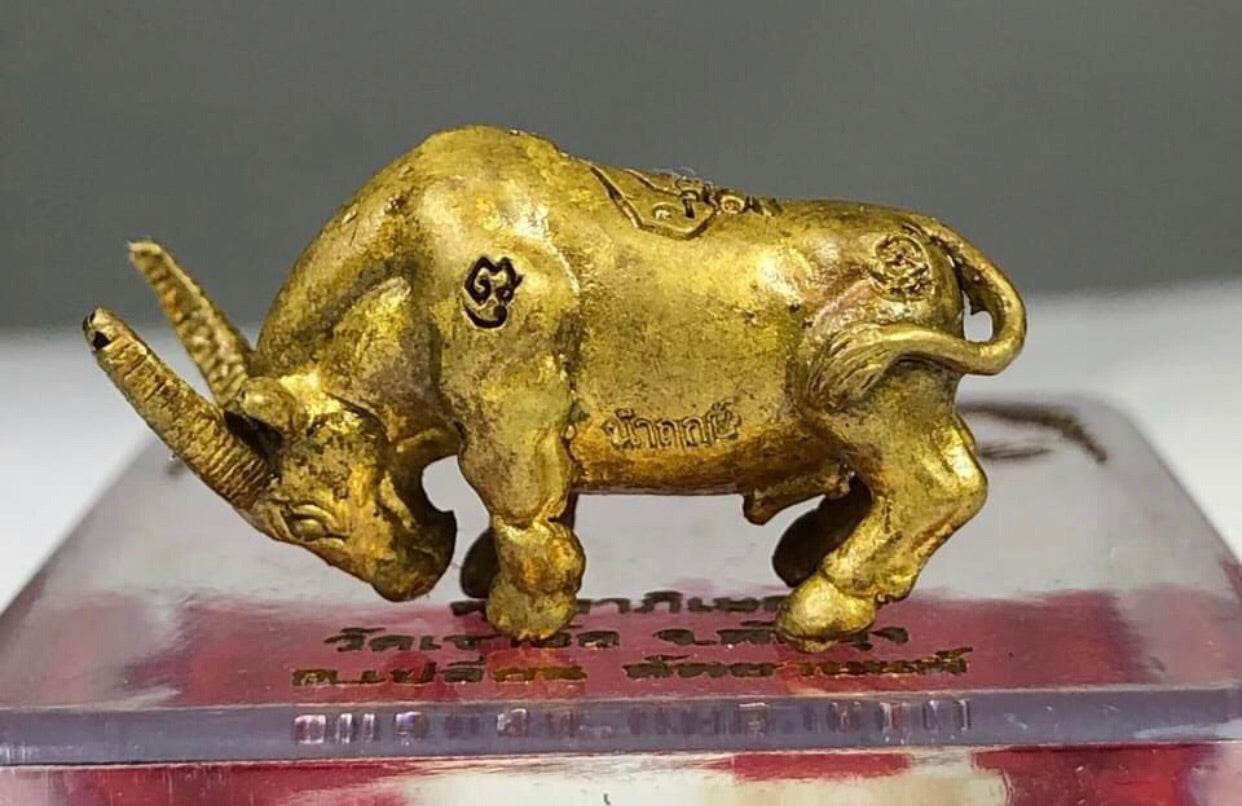 Gold buffalo amulet figurine on clear display box Kwai Thanhu Full Moon Edition Amulet sacred charm