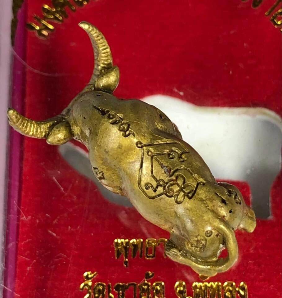 Kwai Thanhu Full Moon Edition Amulet small brass buffalo charm in red display box with Thai script