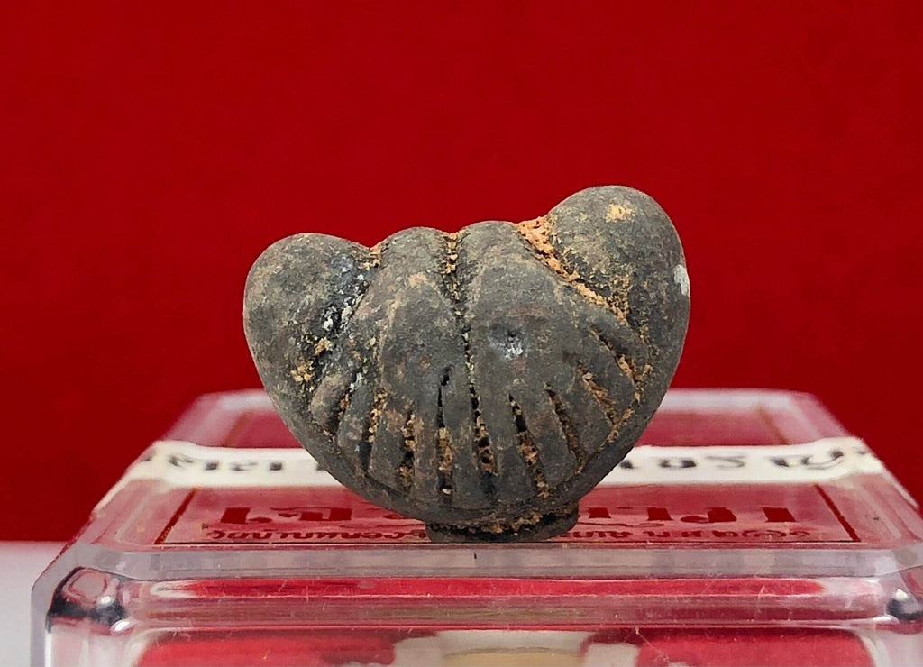 Phra Pidta Ancient Amulet small worn dark clay pendant on clear display box against red background