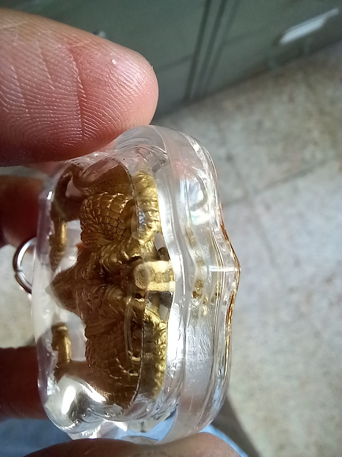 Close up of small gold Phaya Krut Garuda Amulet in clear protective plastic case held between fingers
