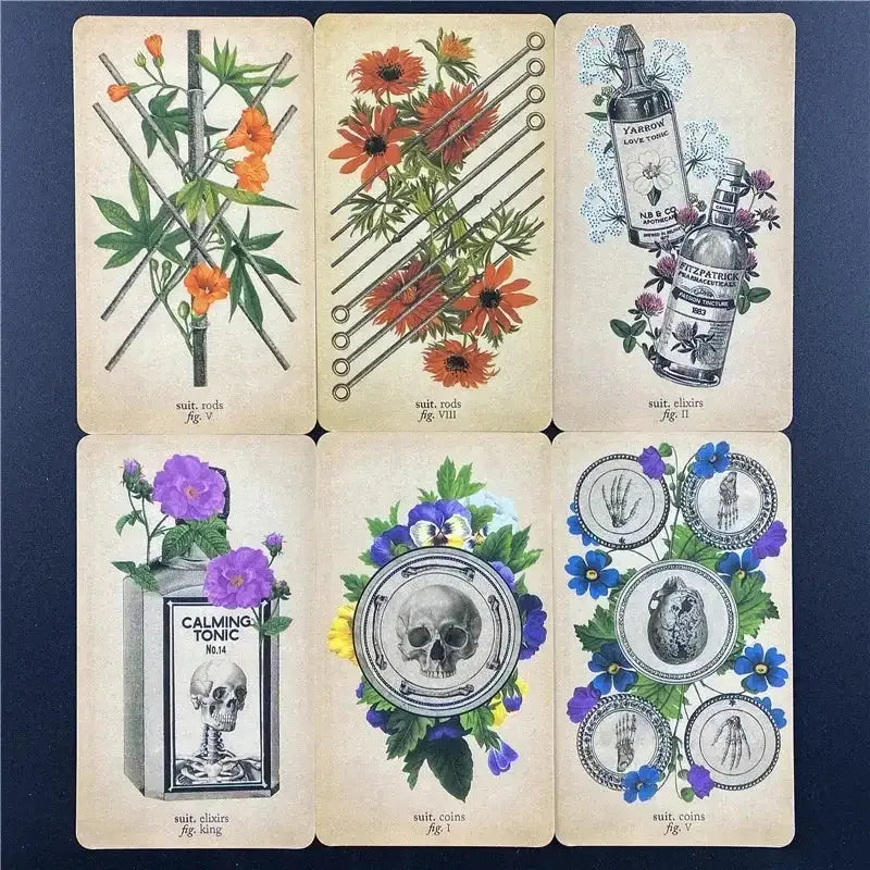 🦴 The Antique Anatomy Tarot Deck – 78 Cards | Vintage Anatomical & Botanical Illustrations | Full-Color English Guidebook Included | Divination, Meditation & Family Board Game | Luxury Foil-Stamped Keepsake Box