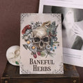 🌿 Ultimate Toxicology Herbal Guide – Discover the Secrets of Herbs in This Beautifully Illustrated Healing Set