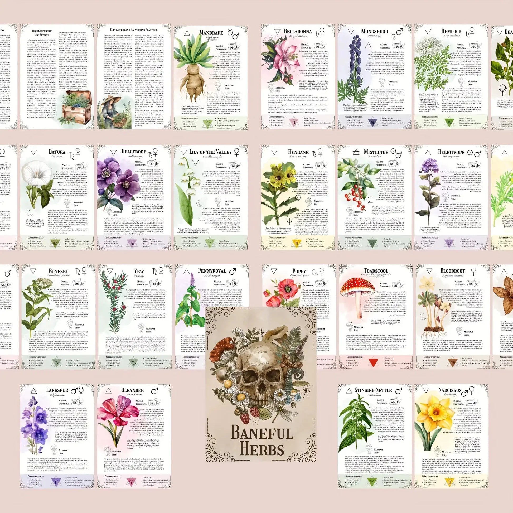 🌿 Ultimate Toxicology Herbal Guide – Discover the Secrets of Herbs in This Beautifully Illustrated Healing Set