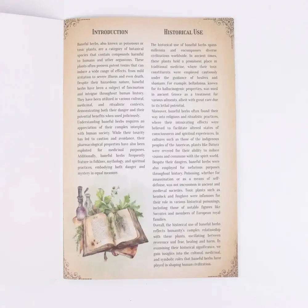 🌿 Ultimate Toxicology Herbal Guide – Discover the Secrets of Herbs in This Beautifully Illustrated Healing Set