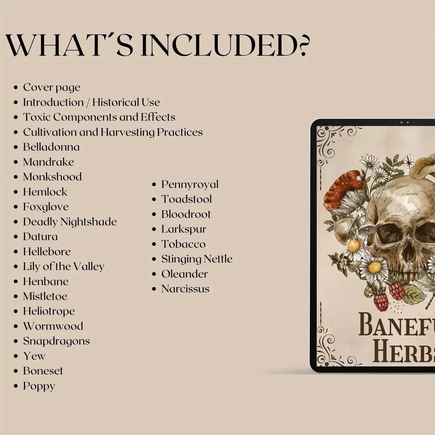 🌿 Ultimate Toxicology Herbal Guide – Discover the Secrets of Herbs in This Beautifully Illustrated Healing Set