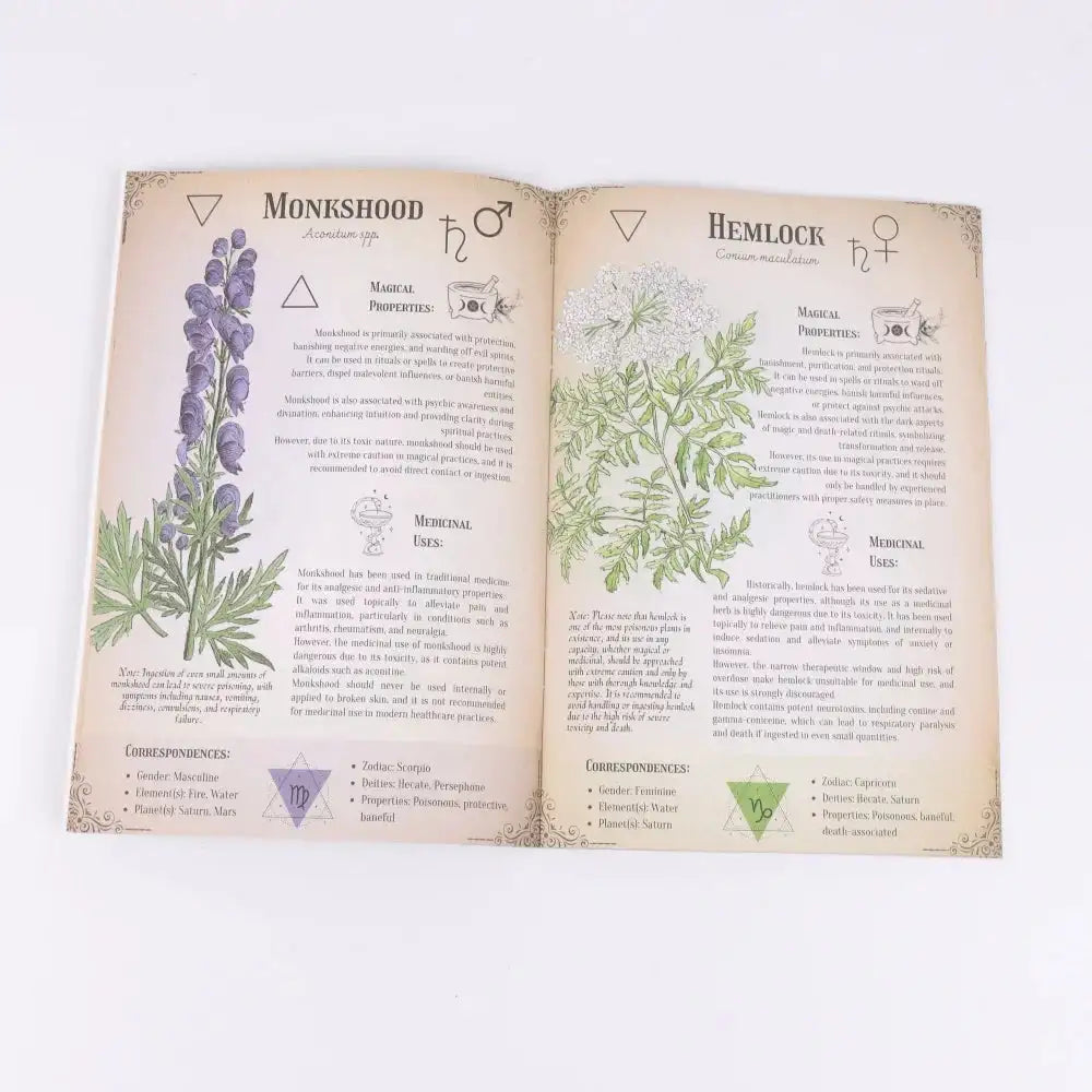 🌿 Ultimate Toxicology Herbal Guide – Discover the Secrets of Herbs in This Beautifully Illustrated Healing Set