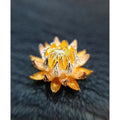 Wealth Prosperity Amulet - Pikul Flower Amulet for Abundance and Success Default Title