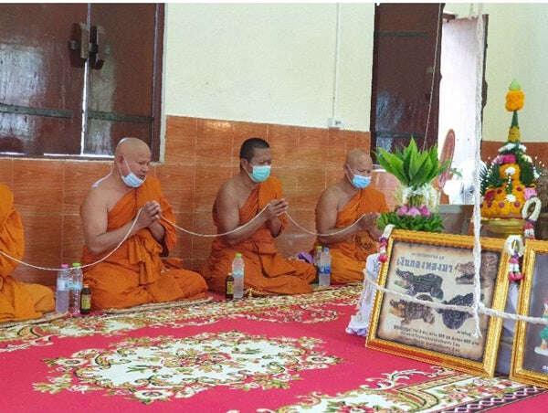 Wealth Summoning Crocodile – Silver-Gold Edition, Blessed by Luang Pho Ngern for Abundance and Prosperity