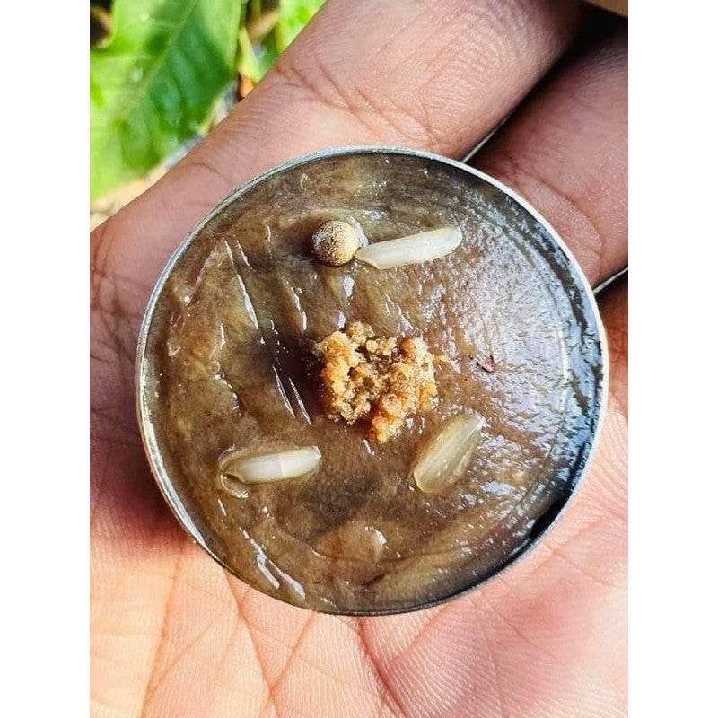 Whispering Spirit Charm Balm - Thai Metta Oil for Love, Wealth & Business Fortune -耳语灵符色膏 - 泰国人缘旺财灵性膏