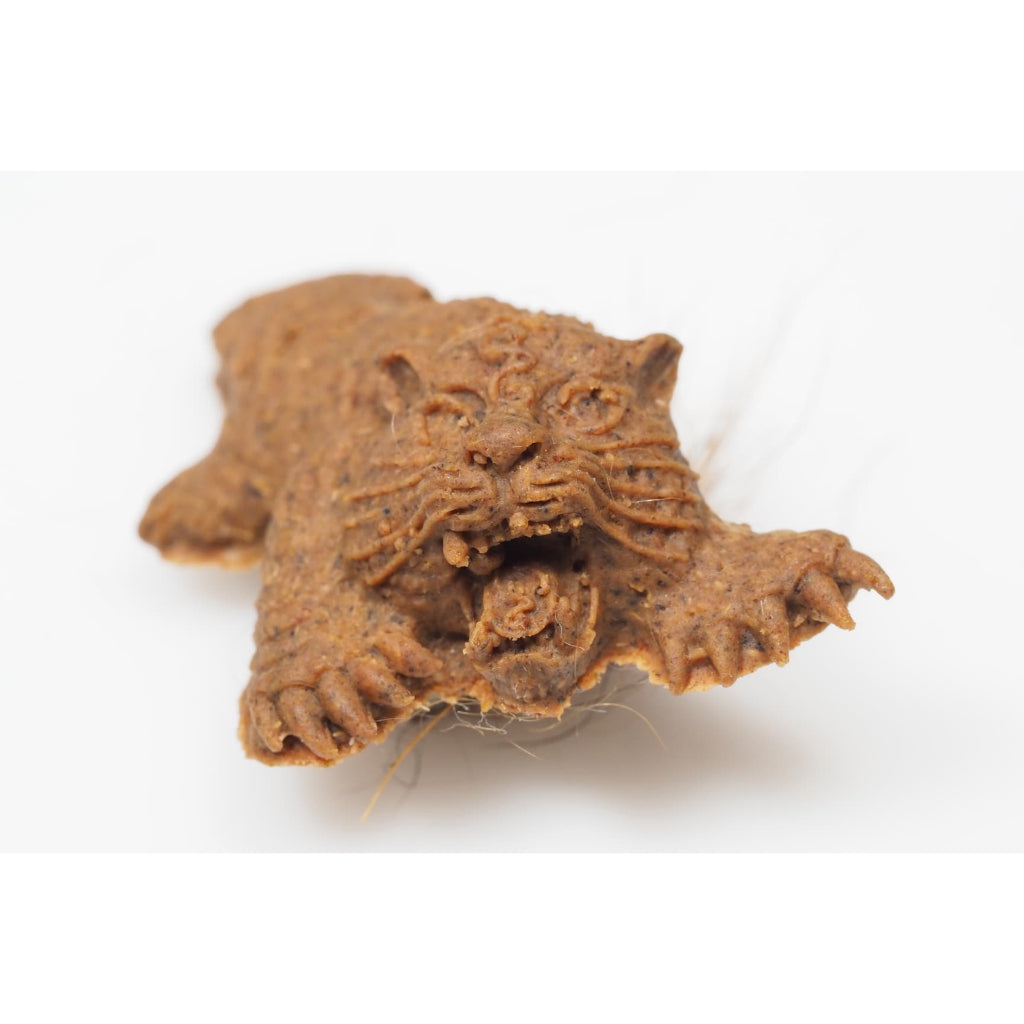 Yod Payak Tapob Sap Blessed Charm by Thai Blessing Co - Thai Blessing Co